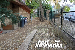 Növények eltávolítása után (2)